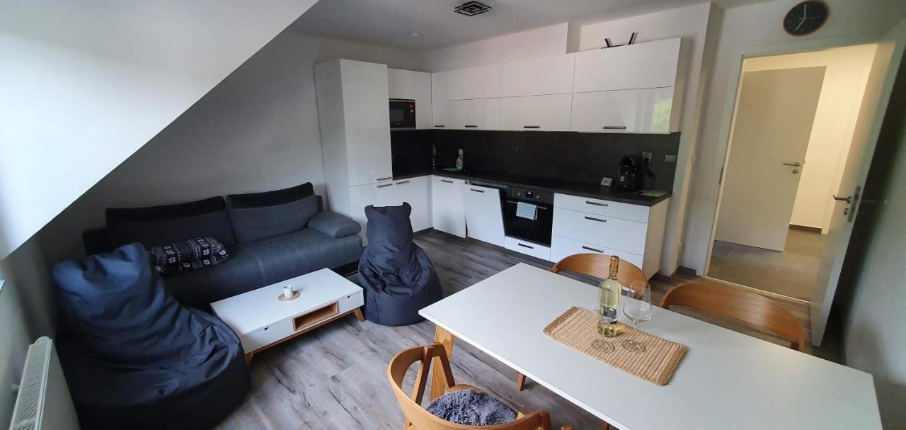 Apartman U Nas Na Dolni Morave Dolní Morava エクステリア 写真